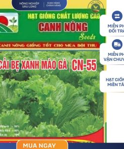 GÓI 20 GRAM - HẠT GIỐNG CẢI BẸ XANH MÀO GÀ CN55 CANH NÔNG