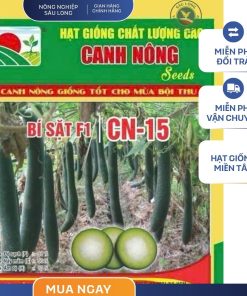 GÓI 15 HẠT - HẠT GIỐNG BÍ SẶT LAI CN 15 CANH NÔNG - NĂNG SUẤT CAO