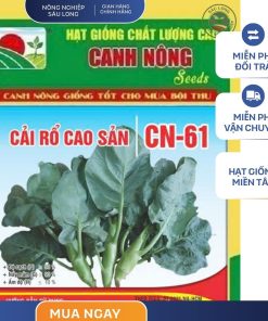 GÓI 5 GRAM - HẠT GIỐNG CẢI RỔ CAO SẢN CN61 CANH NÔNG