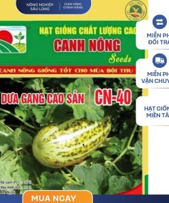 GÓI 2 GRAM - HẠT GIỐNG DƯA GANG CAO SẢN CN40 CANH NÔNG
