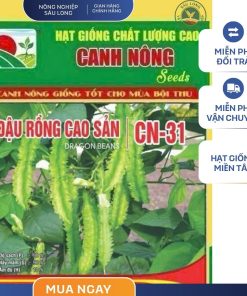 GÓI 10 GRAM - HẠT GIỐNG ĐẬU RỒNG CAO SẢN CN31 CANH NÔNG
