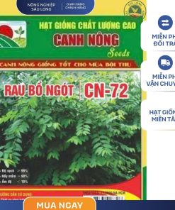 GÓI 1 GRAM - HẠT GIỐNG BỒ NGÓT CN72 CANH NÔNG