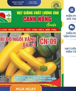 GÓI 10 HẠT - HẠT GIỐNG BÍ ĐỎ NGỒI VÀNG LAI F1 CN09 CANH NÔNG - NĂNG SUẤT CAO