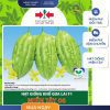 GÓI 6 HẠT - HẠT GIỐNG KHỔ QUA LAI F1 MIỀN TÂY 06 HAI MŨI TÊN ĐỎ - NĂNG SUẤT CAO
