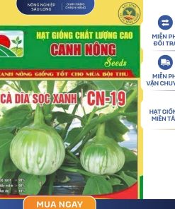 GÓI 1 GRAM - CÀ XANH DĨA SỌC XANH CN19 CANH NÔNG