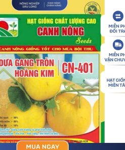 GÓI 1 GRAM - HẠT GIỐNG DƯA GANG TRÒN HOÀNG KIM CN401 CANH NÔNG