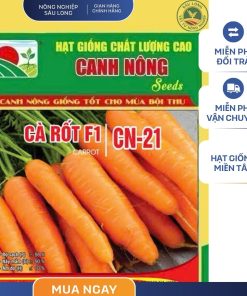 GÓI 2 GRAM - HẠT GIỐNG CÀ RỐT F1 CN21 CANH NÔNG - NĂNG SUẤT CAO