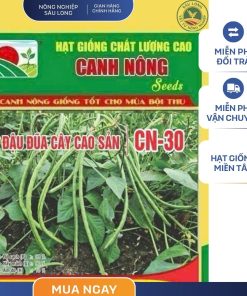 GÓI 10 GRAM - HẠT GIỐNG ĐẬU ĐŨA CAO SẢN CN31 CANH NÔNG
