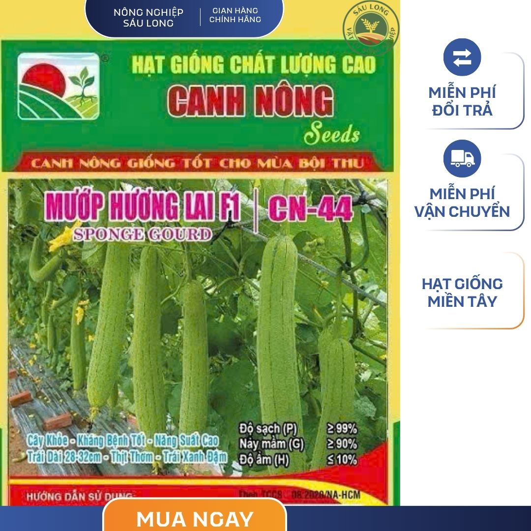 GÓI 10 HẠT - HẠT GIỐNG MƯỚP HƯƠNG LAI F1 CN44 CANH NÔNG