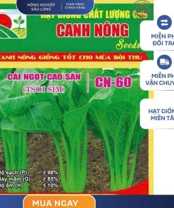 GÓI 20 GRAM - HẠT GIỐNG CẢI NGỌT CAO SẢN CN60 CANH NÔNG