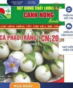 GÓI 1 GRAM - CÀ PHÁO TRẮNG CN20 CANH NÔNG