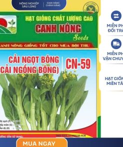 GÓI 20 GRAM - HẠT GIỐNG CẢI NGỌT BÔNG CN59 CANH NÔNG
