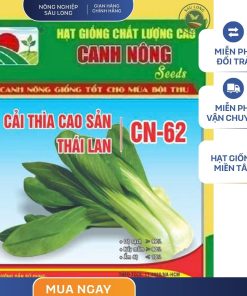GÓI 20 GRAM - HẠT GIỐNG CẢI THÌA CAO SẢN CN62 CANH NÔNG