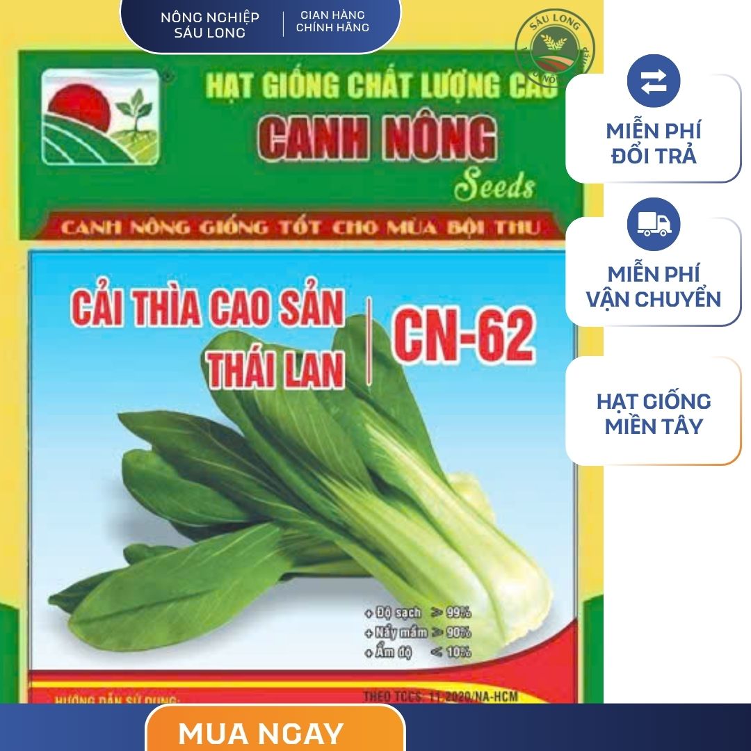 GÓI 20 GRAM - HẠT GIỐNG CẢI THÌA CAO SẢN CN62 CANH NÔNG