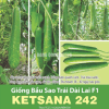 GÓI 10 HẠT – HẠT GIỐNG BẦU SAO TRÁI DÀI LAI F1 KETSANA 242 RẠNG ĐÔNG