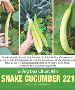 GÓI 0.5 GRAM – HẠT GIỐNG DƯA CHUỘT RẮN SNAKE CUCUMBER 221 RẠNG ĐÔNG