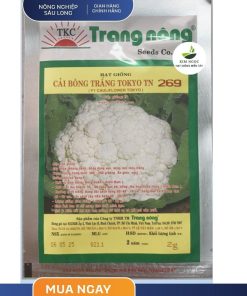 GÓI 2 GRAM (500 HẠT) - HẠT GIỐNG BÔNG CẢI TRẮNG CHỊU NHIỆT TN 269