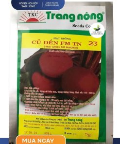 GÓI 5 GRAM - HẠT GIỐNG CỦ DỀN FM TN 23 TRANG NÔNG