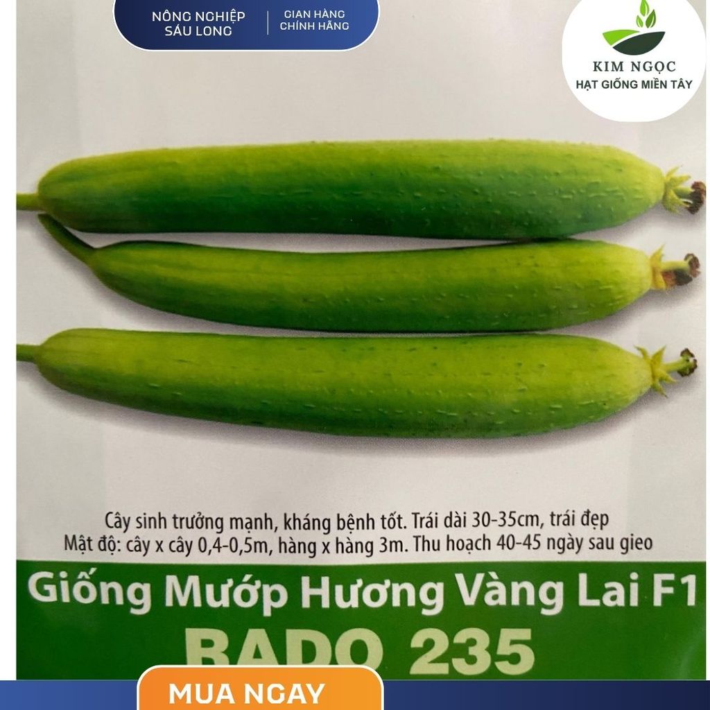 Hạt Giống Mướp Hương Vàng Lai F1 (RADO235) 1gr