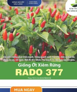 Hạt Giống Ớt Xiêm Rừng (RADO377) 0.2gr