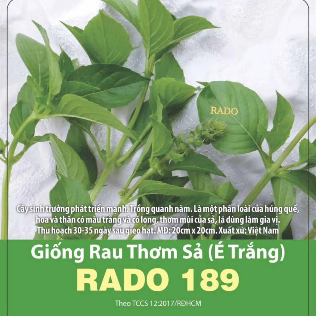 GÓI 5 GRAM – HẠT GIỐNG RAU THƠM SẢ (É TRẮNG) RADO 189 RẠNG ĐÔNG