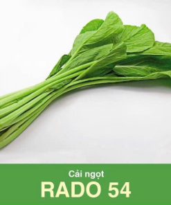 GÓI 20 GRAM - HẠT GIỐNG CẢI NGỌT RADO 54 RẠNG ĐÔNG
