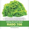 GÓI 5 GRAM - HẠT GIỐNG XÀ LÁCH XOĂN RADO 708 RẠNG ĐÔNG