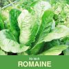 GÓI 2 GRAM - HẠT GIỐNG XÀ LÁCH ROMAINE RẠNG ĐÔNG