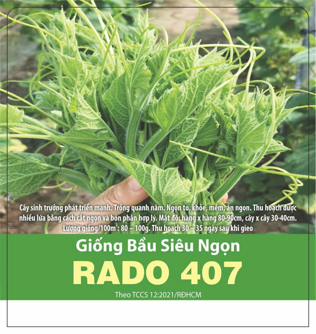 GÓI 5 GRAM - HẠT GIỐNG BẦU SIÊU NGỌN RADO 407 RẠNG ĐÔNG