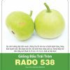 GÓI 1 GRAM - HẠT GIỐNG BẦU TRÁI TRÒN RADO 538 RẠNG ĐÔNG