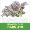 GÓI 1 GRAM - HẠT GIỐNG CẢI MÙ TẠT ĐỎ RADO 318 RẠNG ĐÔNG