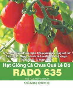 GÓI 0.1 GRAM - HẠT GIỐNG CÀ CHUA QUẢ LÊ ĐỎ RADO 635 RẠNG ĐÔNG