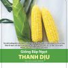 GÓI 2 GRAM - HẠT GIỐNG BẮP NGỌT THANH DỊU RẠNG ĐÔNG