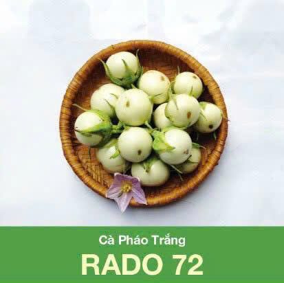 GÓI 0.5 GRAM - HẠT GIỐNG CÀ PHÁO TRẮNG RADO 72 RẠNG ĐÔNG