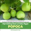 GÓI 0.5 GRAM - HẠT GIỐNG DƯA LÊ SIÊU NGỌT POPOCA RẠNG ĐÔNG