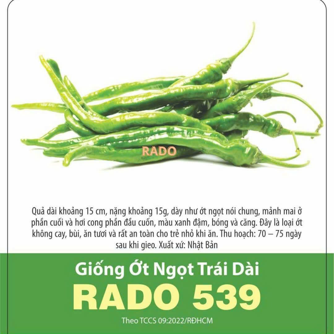 GÓI 0.2 GRAM - HẠT GIỐNG ỚT NGỌT TRÁI DÀI RADO 539 RẠNG ĐÔNG