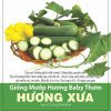 GÓI 10 HẠT - HẠT GIỐNG MƯỚP HƯƠNG BABY THƠM HƯƠNG XƯA RẠNG ĐÔNG