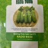 GÓI 1 GRAM - HẠT GIỐNG DƯA LEO LAI F1 RADO 9339 RẠNG ĐÔNG