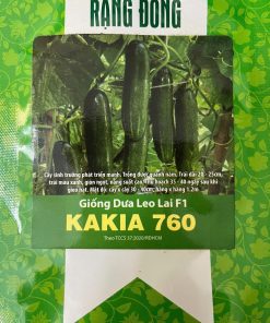 GÓI 1 GRAM - HẠT GIỐNG DƯA LEO LAI F1 KAKIA 760 RẠNG ĐÔNG
