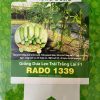 GÓI 1 GRAM - HẠT GIỐNG DƯA LEO TRÁI TRẮNG LAI F1 RADO 1339 RẠNG ĐÔNG