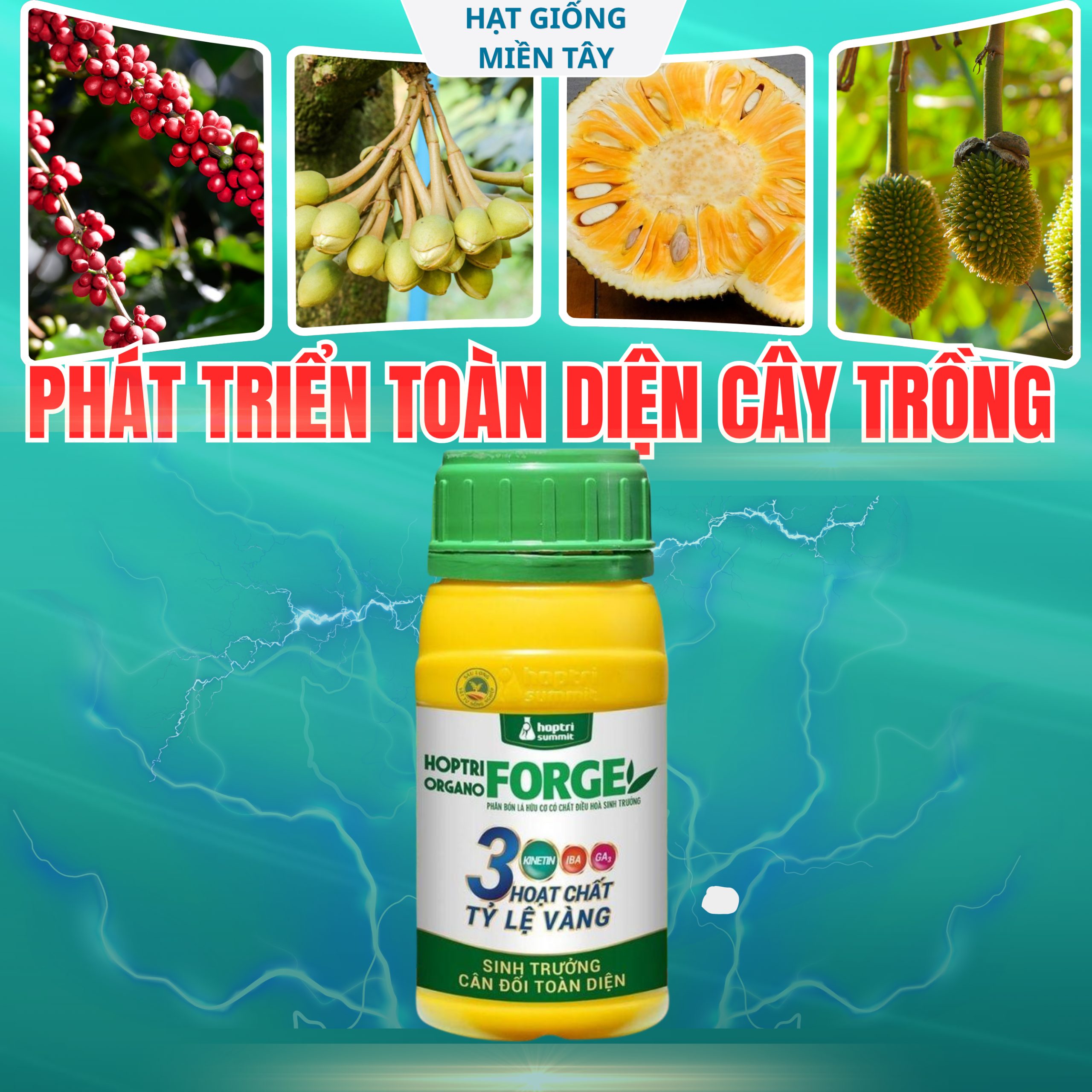 Hợp Trí Organo Forge 250ML