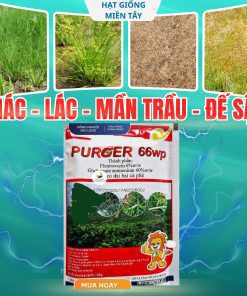 PURGER 66WP - Thuốc cỏ lưu dẫn, không chọn lọc, thuốc cỏ khai hoang