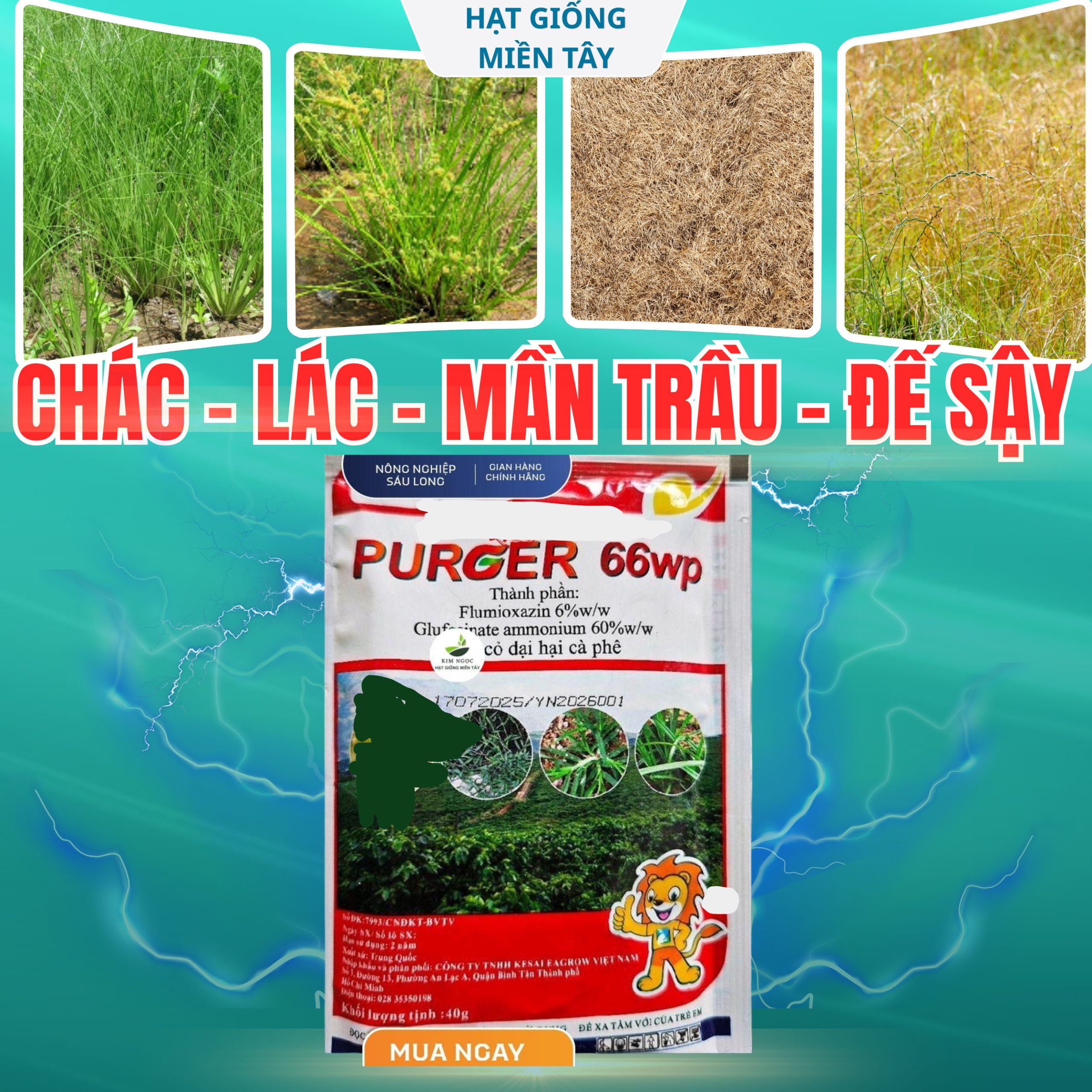 PURGER 66WP - Thuốc cỏ lưu dẫn, không chọn lọc, thuốc cỏ khai hoang