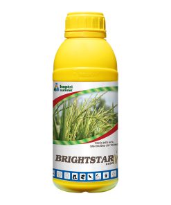 Brightstar 25SC HOPTRI 500 ML