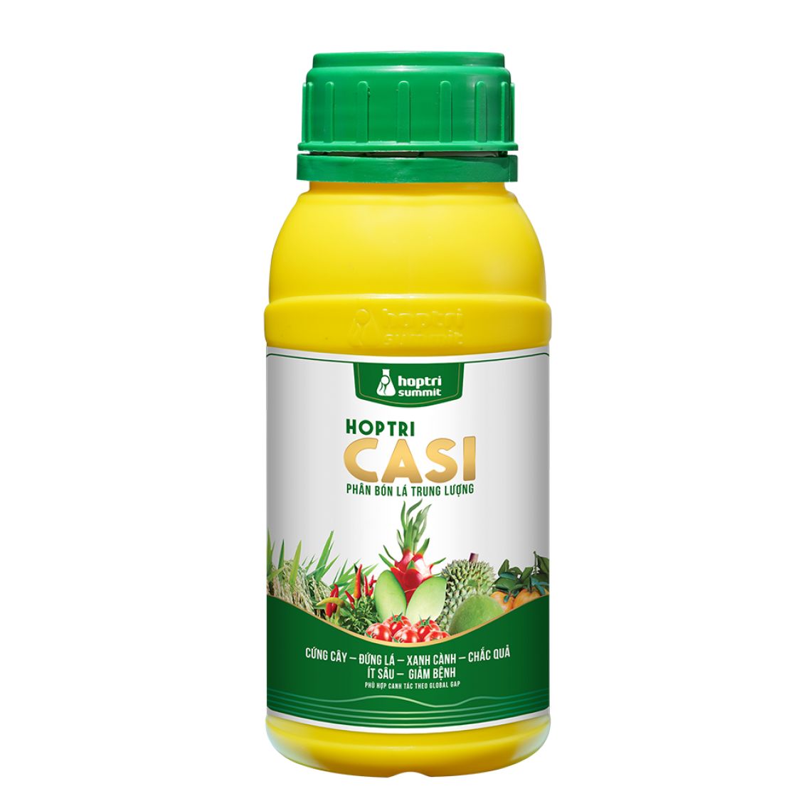 Hợp Trí Casi 500ML