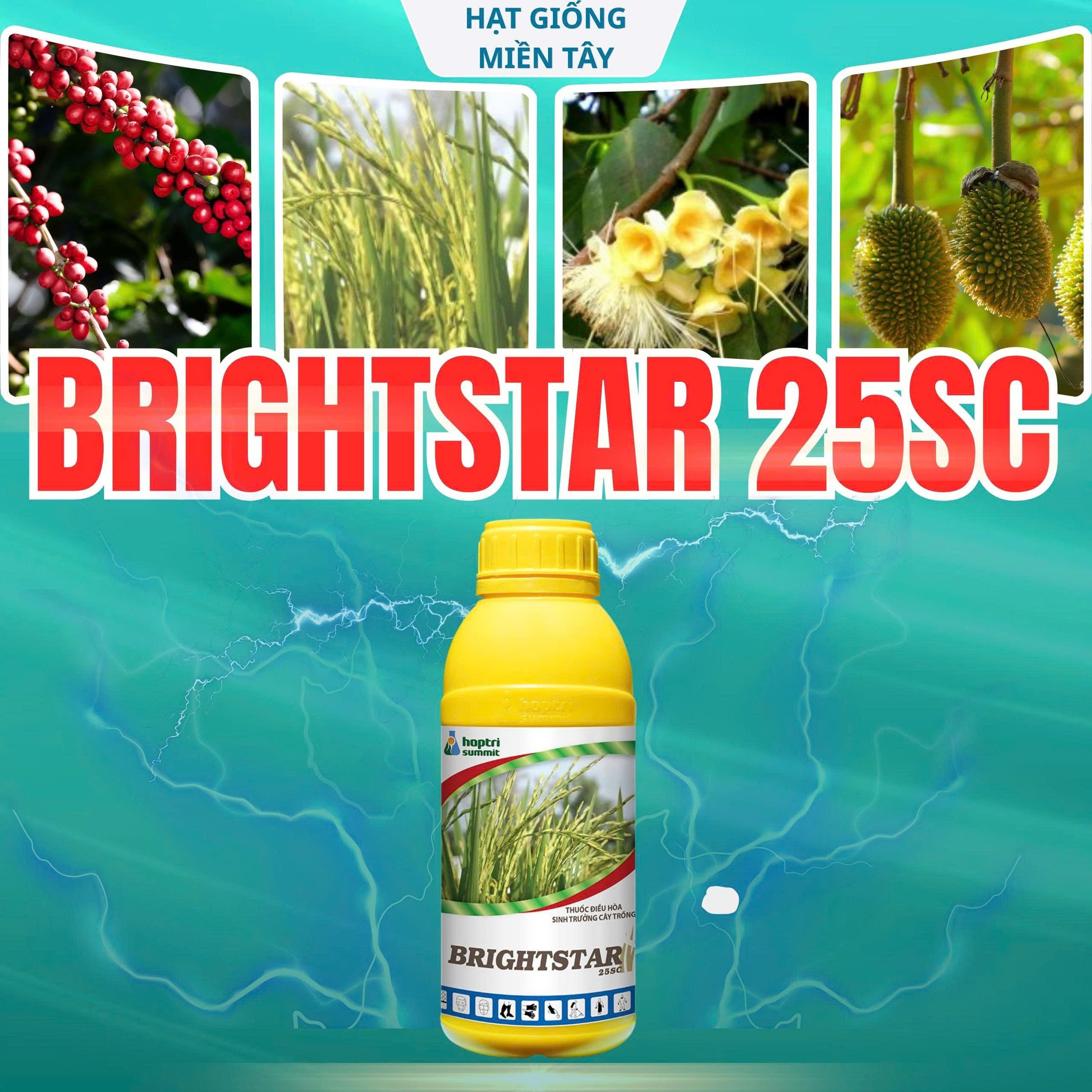 Brightstar 25SC HOPTRI 500 ML