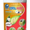Phân bón lá COFOLI HUMIC 500ml – KÍCH RỄ MẠNH, CẢI TẠO ĐẤT, TĂNG HIỆU QUẢ PHÂN BÓN - Ảnh 3