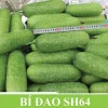 Gói 50H Hạt giống Bí đao SH64 Sen Hồng - Ảnh 3