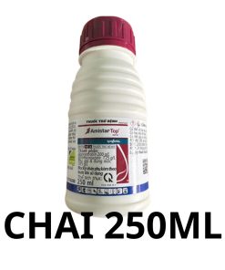 Chai 250ml Amistar Top 325SC chuyên phòng trị bệnh rỉ sắt, thán thư, khô vằn và lem lép hạt chứa Azoxystrobin (200 g/l) và Difenoconazole (125 g/l), do Syngenta sản xuất.