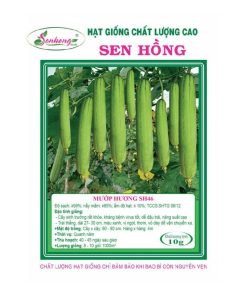 Gói 20H Hạt giống Mướp hương SH46 Sen Hồng